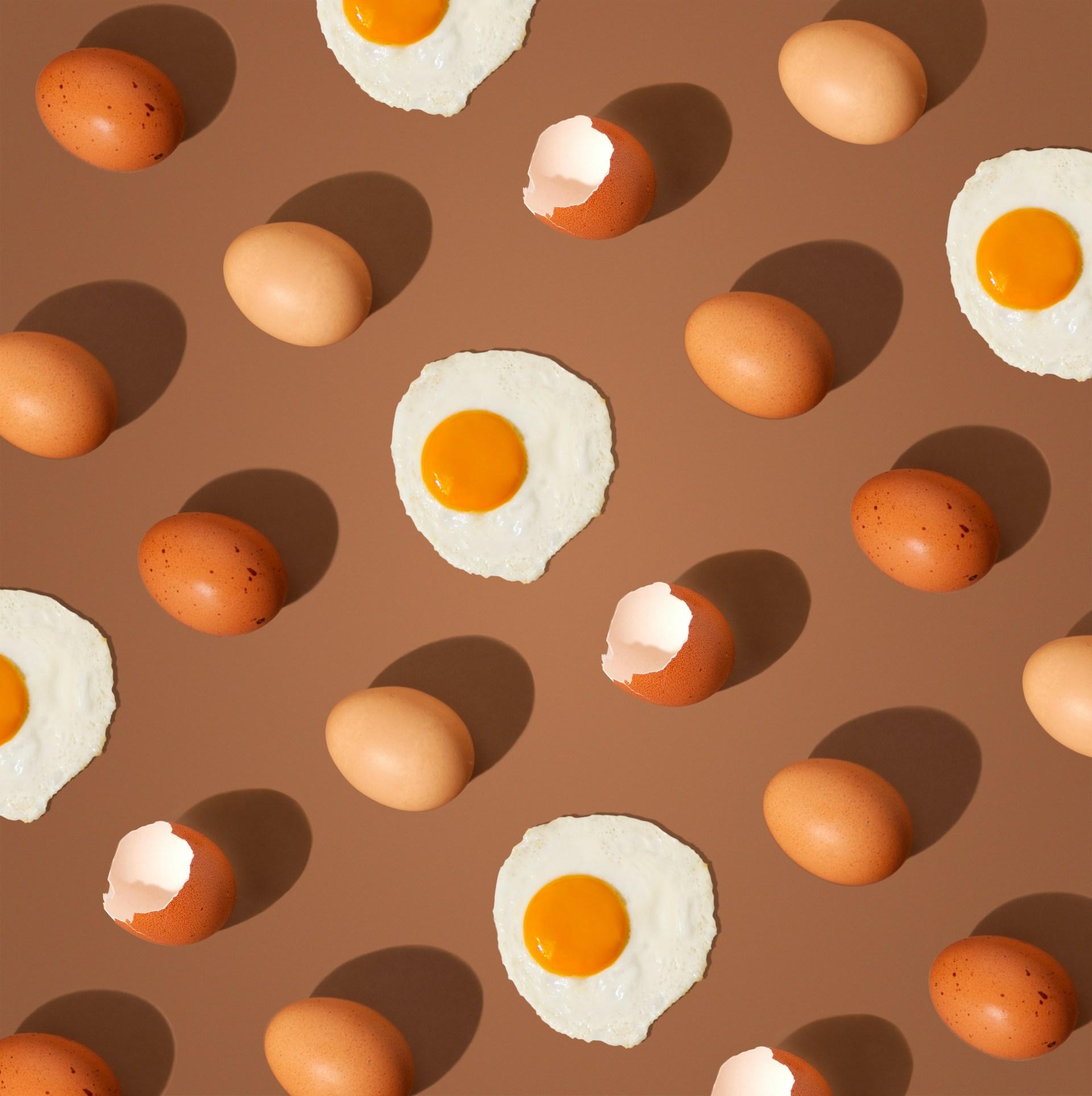Egg Beater