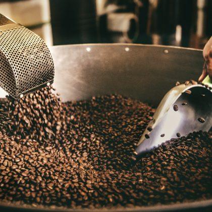 Little Nap Coffee Beans