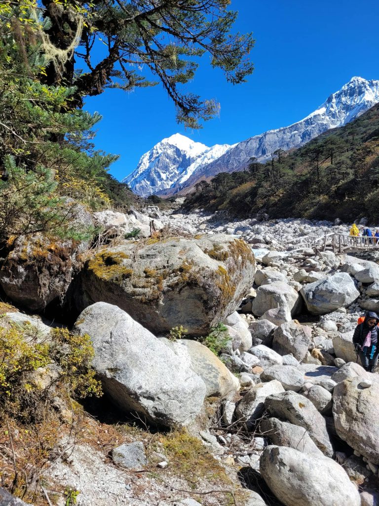 Kanchenjunga South Base Camp Trek – exploring the New & Shorter Trail