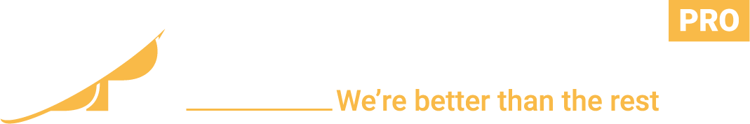 Business Plan Pro
