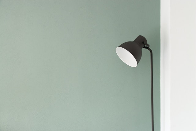 From Empty Rooms to Dream Homes: A Designer’s Journey